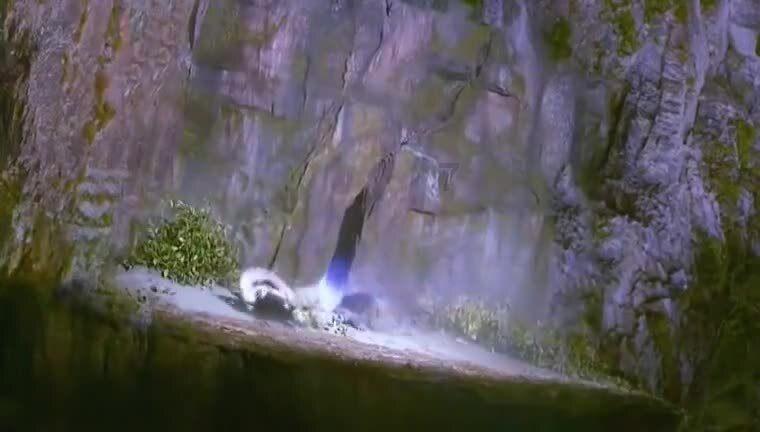 细胞分裂6