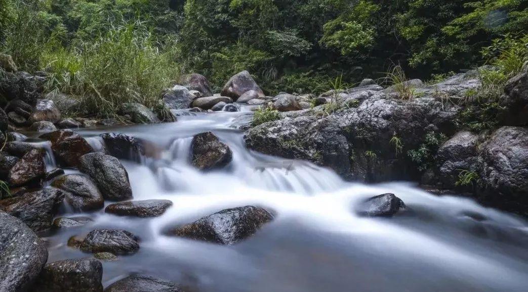 拯救精灵的土地7