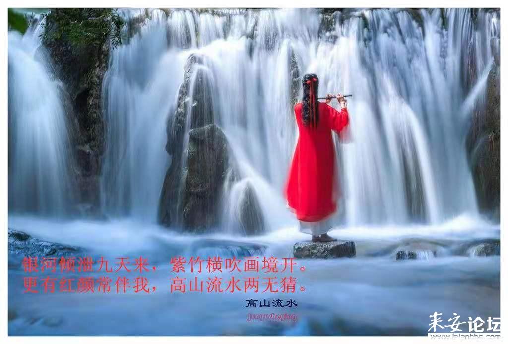 Word文档如何禁止复制内容？这样操作就可以了！
