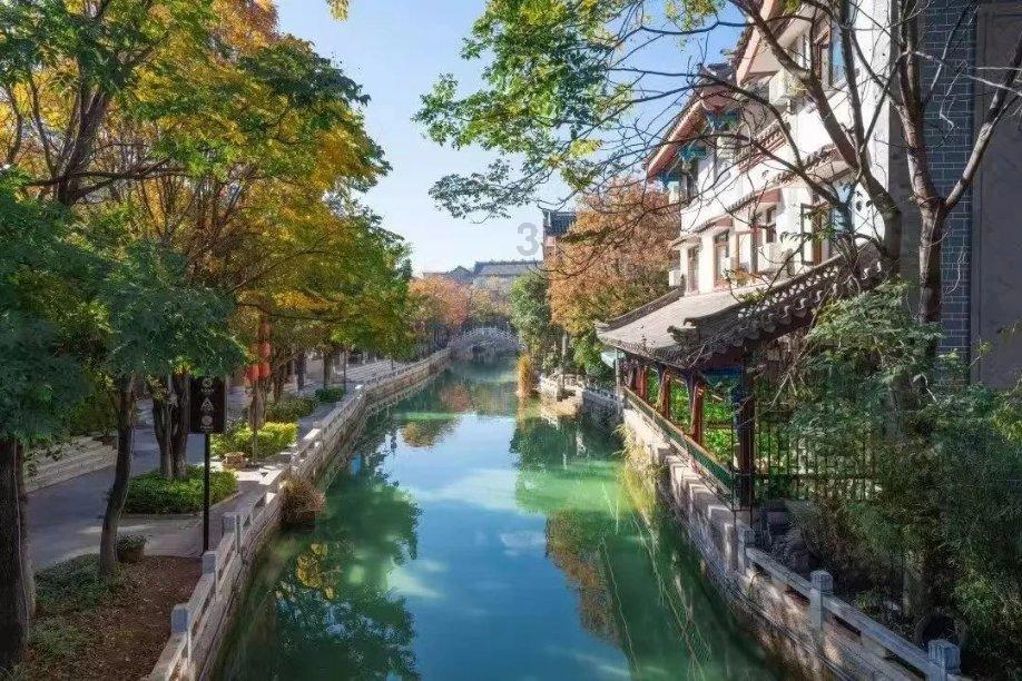 土壤板结，盆栽快死了，随手插根吸管，土壤瞬间疏松透气，猛开花